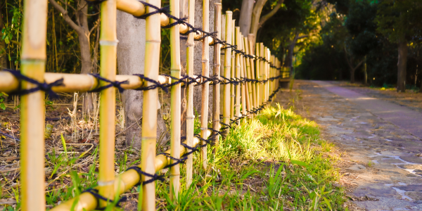 Understanding Easements and Rights-of-Way: What Homeowners Need to Know